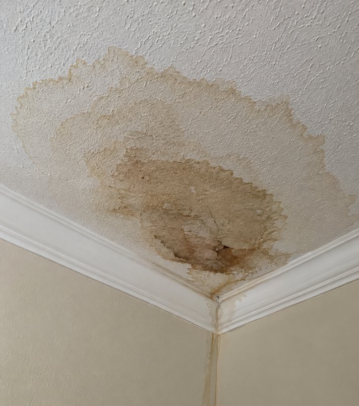 Brown water staining spreading across a textured ceiling and running down the wall corner